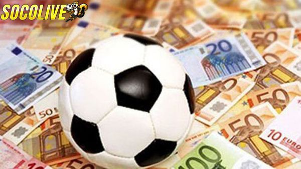 Nắm tình hình thực tế các đội tham gia