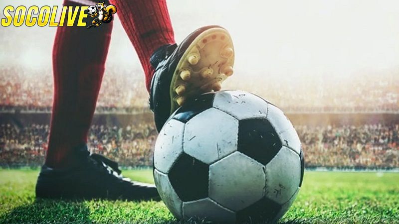 Cách tránh rủi ro kèo tuồng hiệu quả